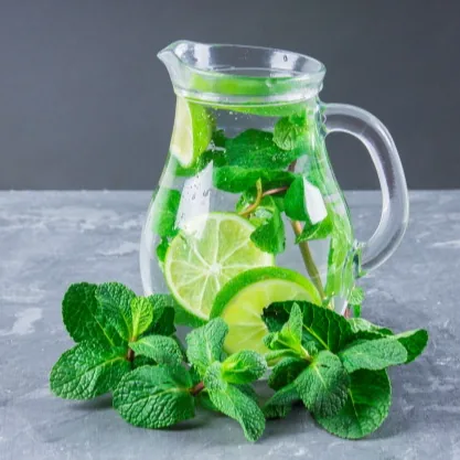 Mojito 1L