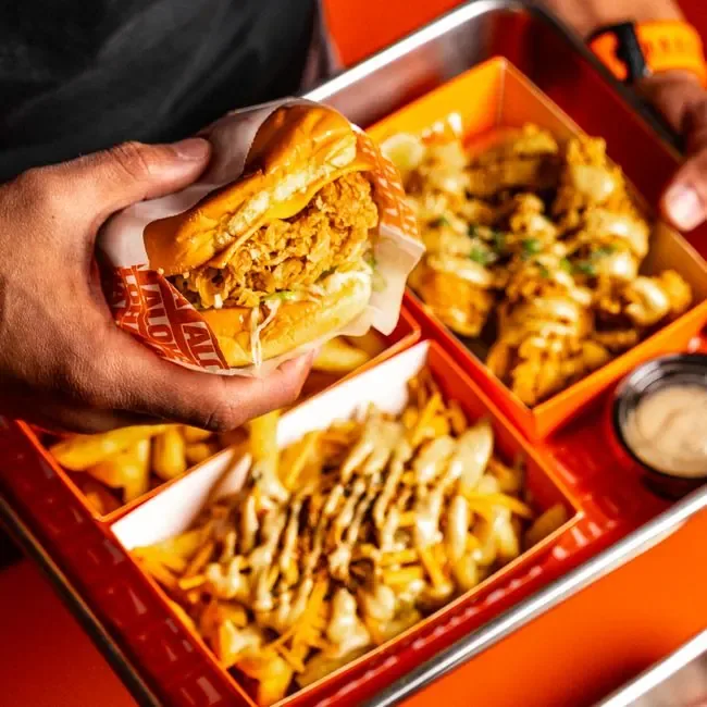 Chicken Burger with Fries