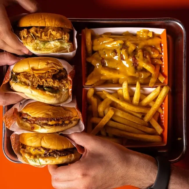 Chicken Cheeseburger with Fries
