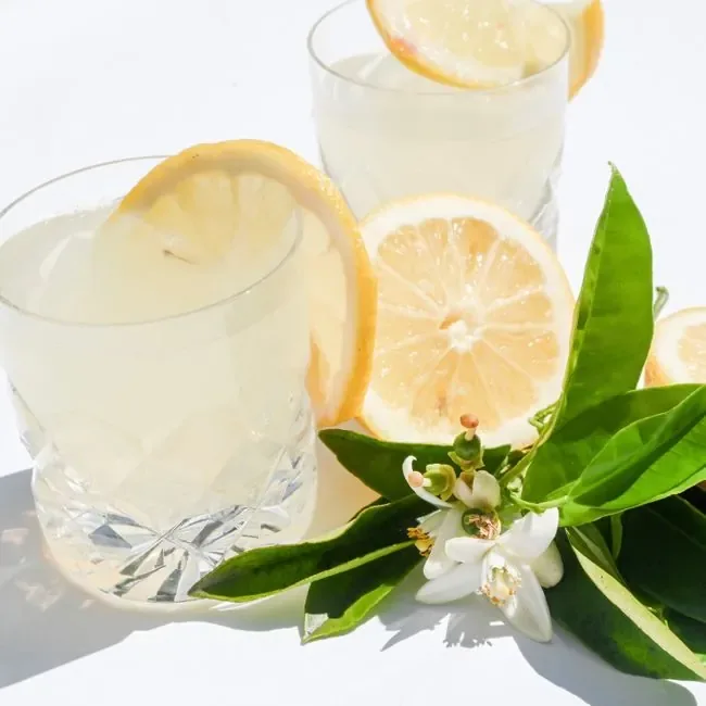 Citrus Lemonade
