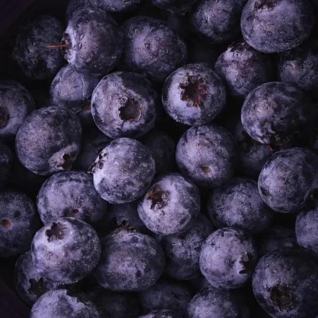 Forest Berry Milkshake