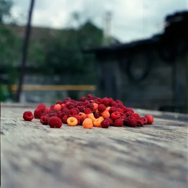 Raspberry Passion Fruit Tea