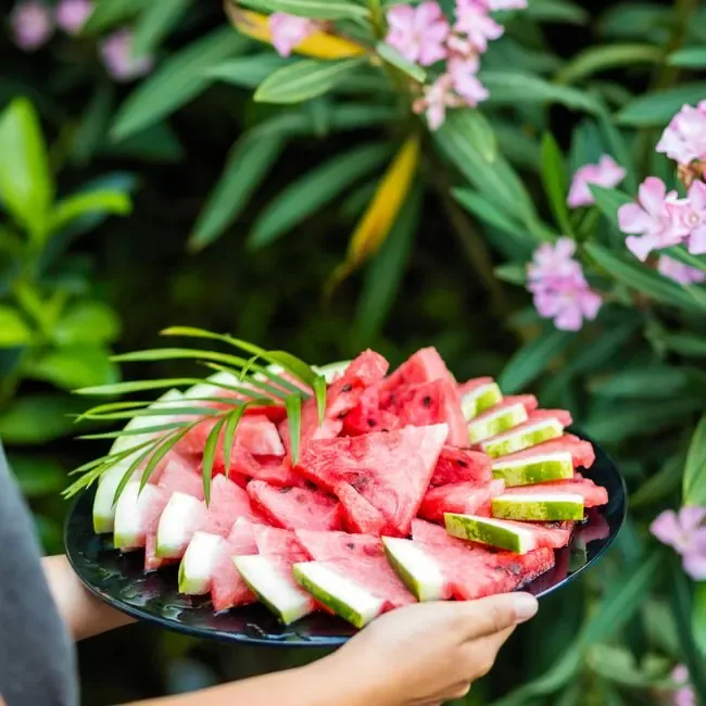 Watermelon Lemonade
