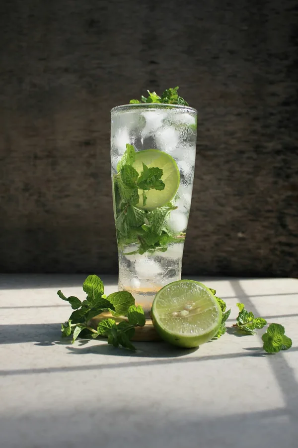 Citrus Mojito