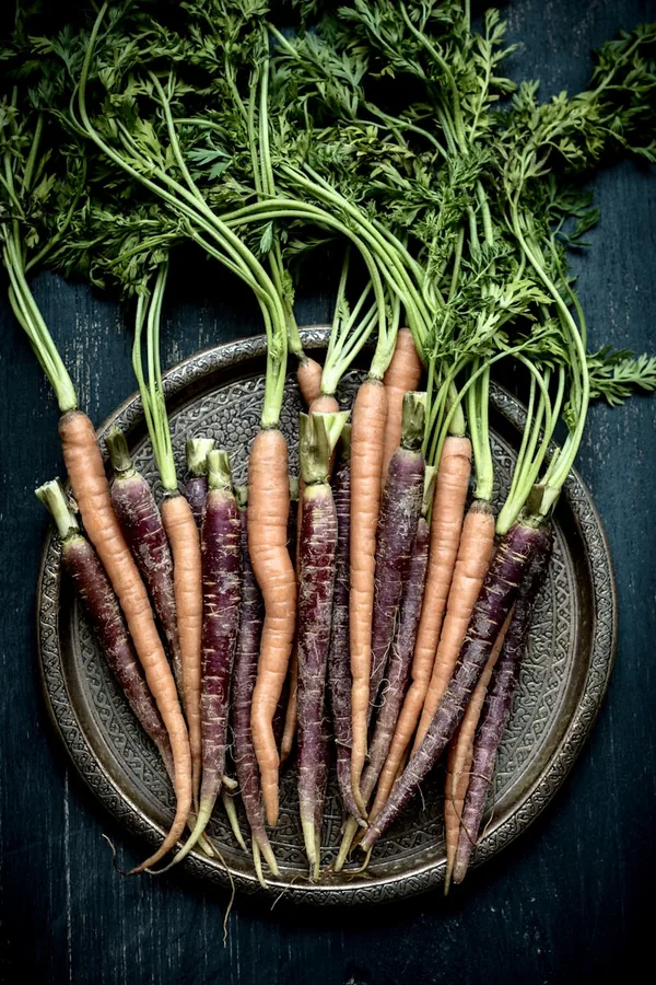 Vegetable Sticks with Sour Cream
